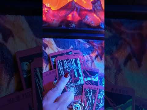 Видео: 13 сентября 2025 г.