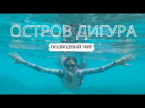 Видео: О.ДИГУРА-МАЛЬДИВЫ!Кого можно увидеть под водой?Есть ли черепашки?Встретила мурену и очень испугалась