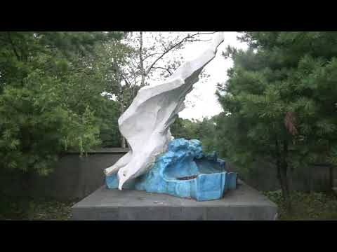 Видео: Морское кладбище Владивостока