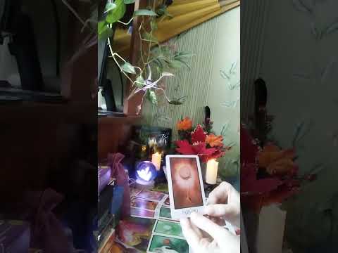 Видео: Что сказало бы Ваше окружение👥🫂, если бы Вас не стало? 🪦⚱️😢