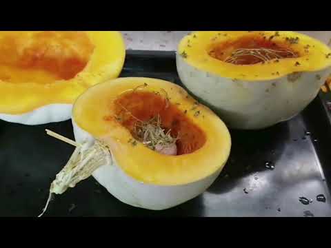 Видео: 4 рецепта ИЗ ТЫКВЫ | ТЕПЛЫЕ И УЮТНЫЕ РЕЦЕПТЫ | ТЫКВЕННЫЙ СУП | сладкое и соленой
