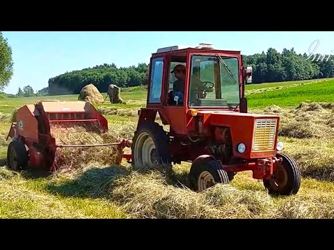 Видео: Т-25 универсал в небольшем фермерском хозяйстве.