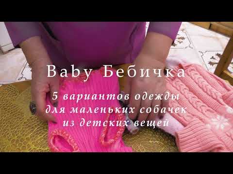 Видео: Одежда для маленьких собачек из старой детских вещей.