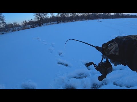 Видео: Клюёт на всё!Балансир, жерлицы, безмотылка!