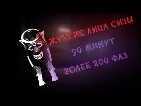 Видео: ЖЛС / 1,5 часа / 200+ фаз