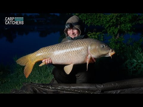 Видео: Злива, спека, заморозок та - трофейні коропи. Карпфішинг у травні 2024