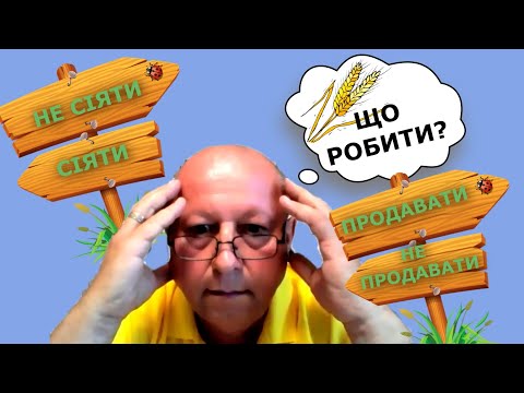 Видео: Що робити з пшеницею? Продавати чи ні?  Сіяти чи ні?