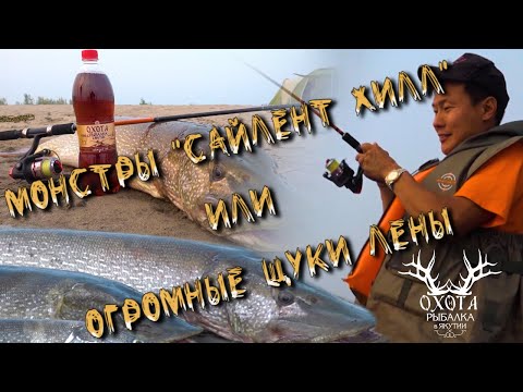Видео: Монстры "Сайлент Хилл" или ОГРОМНЫЕ щуки Лены!