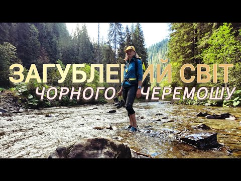 Видео: ЗАГУБЛЕНИЙ СВІТ ЧОРНОГО ЧЕРЕМОШУ: від Попадинця до Чемірного. Найдикіший маршрут Карпат
