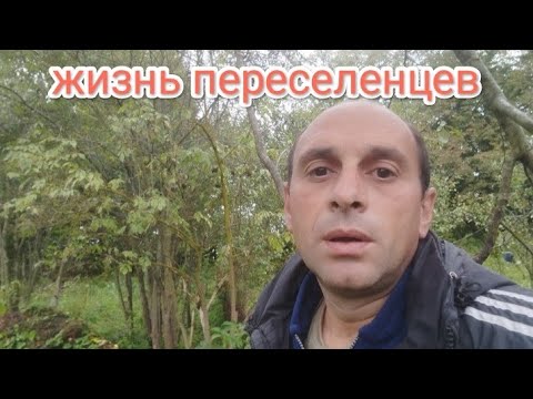 Видео: Жизнь переселенцев: Неспокойная ночь,Хочу подсказать