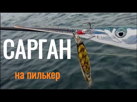 Видео: Сарган ну пилькер + мушка
