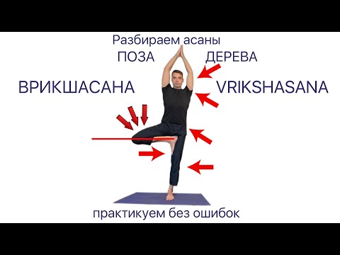 Видео: Асаны йоги. Врикшасана. Поза дерева