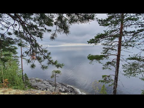 Видео: Сегозеро,хариус,форель.