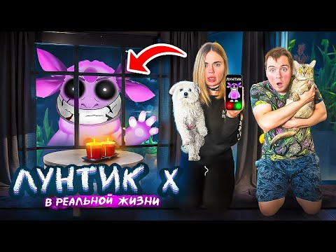 Видео: ЛУНТИК.EXE В РЕАЛЬНОЙ ЖИЗНИ | НЕ ЗВОНИ ЕМУ НОЧЬЮ С КОТАМИ И СОБАКОЙ