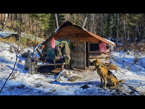 Видео: Ушёл в глухую тайгу Нашёл мальнькую избу