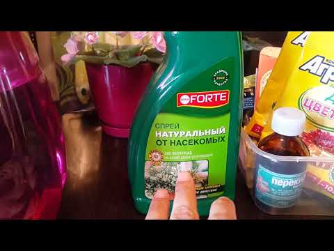 Видео: Цветочная аптечка. Удобрения. Советы. Опыт. Новинки / Гулдорумдун аптечкасы. Кенештер. Жаны нерселер