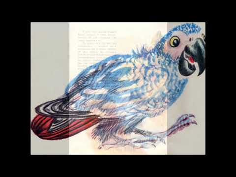 Видео: Аудио-рассказ "Воинственный Жако" С.А. Воронин. Для детей от 4-х лет.