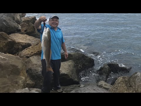 Видео: Морская рыбалка с берега в США. Мексиканский залив. Флорида.