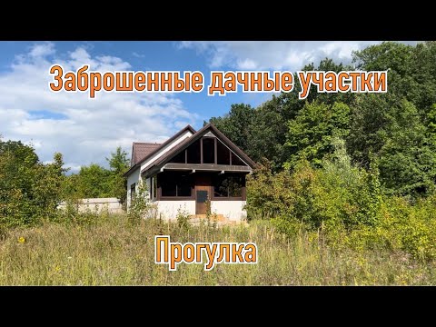 Видео: Заброшенные дачные участки. Прогулка. Урожай.