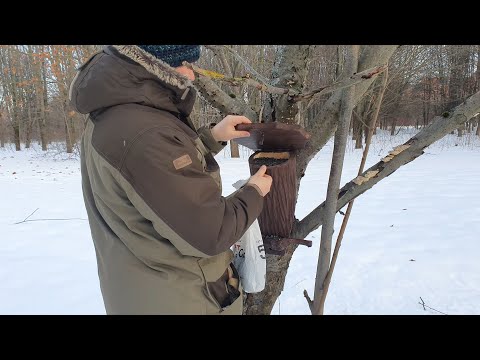 Видео: Бункерная Кормушка. Дневник натуралиста. 22 декабря 2023 г.