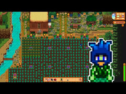 Видео: Луговая ферма, год 3 день 15-19: почти конец, оформление имбирного острова, пустыня | Stardew Valley