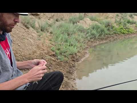 Видео: Рыбалка на белую рыбу ! Рыбалка на мах! #рыбалка #балык #fishing
