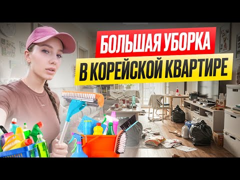 Видео: Делаем большую уборку в квартире вместе с мужем/огромный шведский стол в Корее