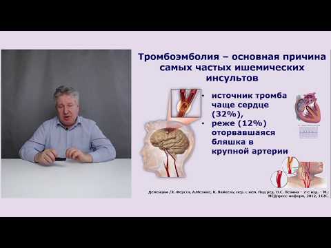 Видео: Три принципа лечения когнитивных расстройств.