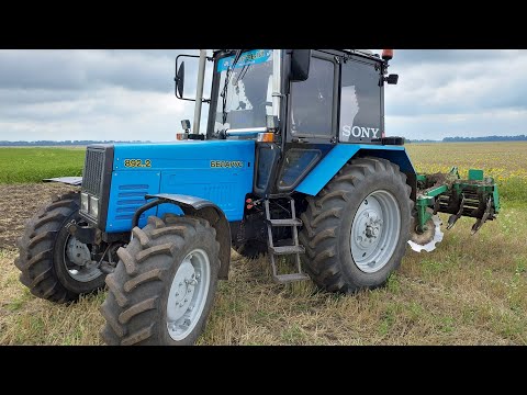 Видео: Діскую МТЗ 892.2 БОРЗИЙ 4.08.2022