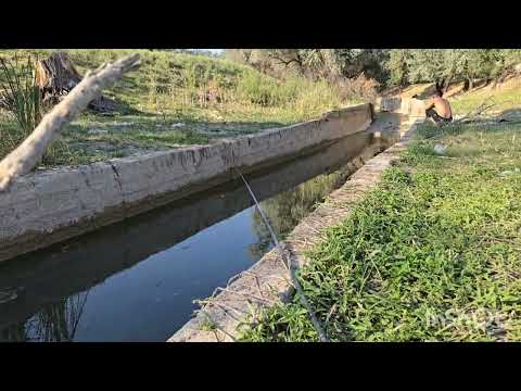 Видео: Буйруса куру кайткан жокбуз жолубуз болду
