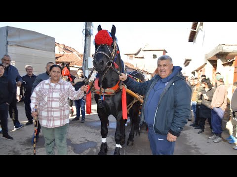 Видео: Тодоров ден  квартал Факултета  от фамилия   Делчови така наречани    каналеята 23.03.2024г.