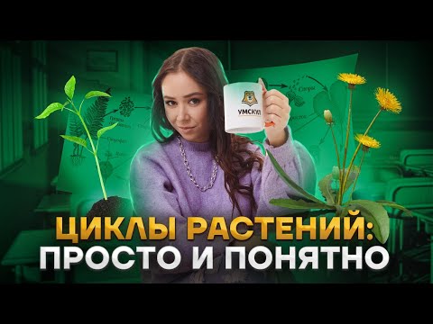Видео: Циклы растений: просто и понятно | Биология ЕГЭ | Умскул