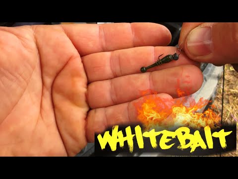 Видео: ЖЕРЕХИ НА МОРМЫШИНГ осенью. ЭТА ПРИМАНКА РАБОТАЕТ!