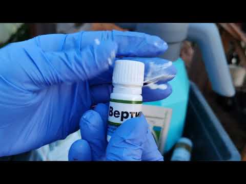 Видео: 3.04.25 Обработка от клеща. Остерегайтесь подделок! 👆