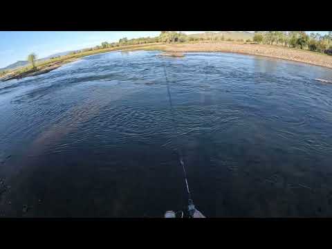 Видео: өглөөний гараа ❤️