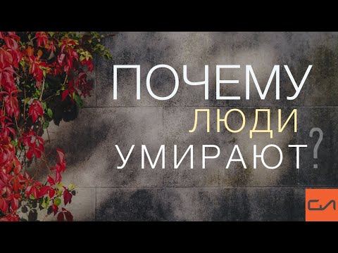 Видео: Почему люди умирают | Андрей Вовк | Слово Истины