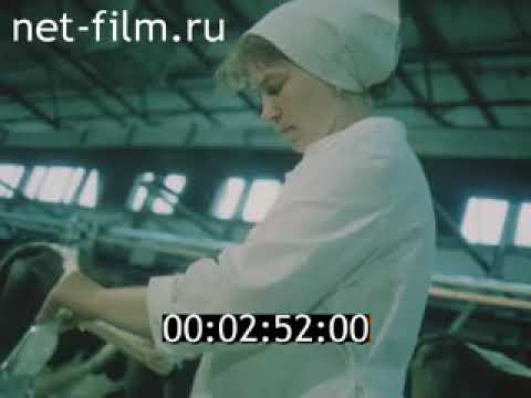 Видео: Генетика сельскохозяйственных животных -  часть 3