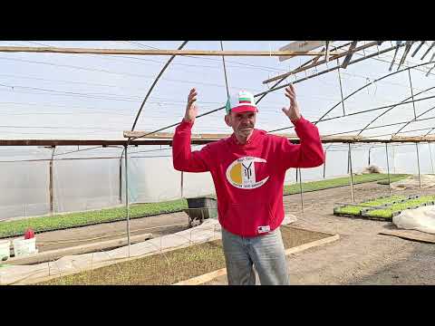 Видео: Малки истини за дребни неща  Така ли е???