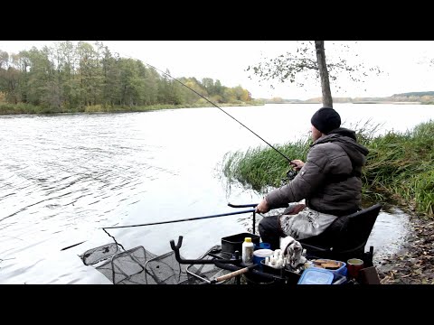 Видео: РЫБАЛКА 2022! ФИДЕР ОСЕНЬЮ! Ловля ЛЕЩА!