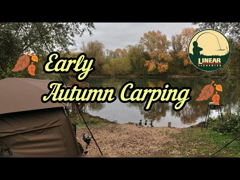 Видео: Карповая ловля по сезонам – Ранняя осенняя сессия – Синдикат по ловле линейного карпа