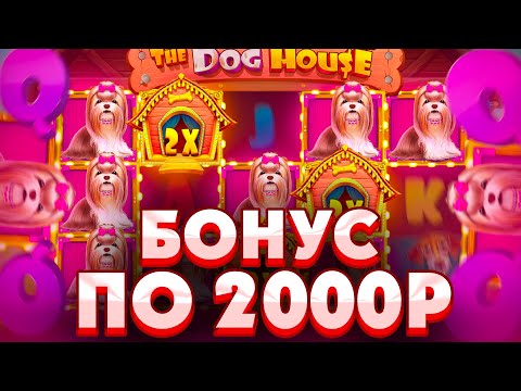 Видео: ВЫБИЛ БОНУСКЕ ПО СТАВКЕ 2000Р В THE DOG HOUSE/ ПОЙМАЛ ОГРОМНУЮ ПОЛЯНУ БУДОК И СЛОВИЛ ЗАНОС ИЛИ 0???