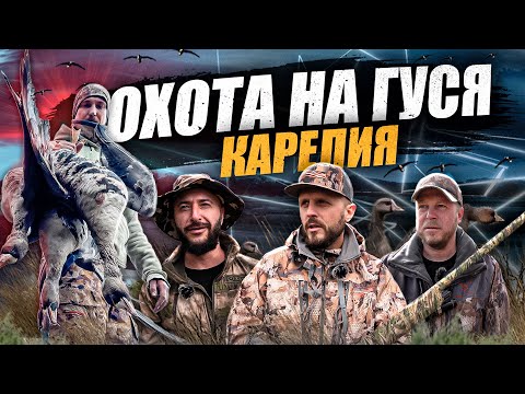Видео: ОХОТА НА ГУСЯ.  В ПОГОНЕ ЗА ГУСЕМ....!