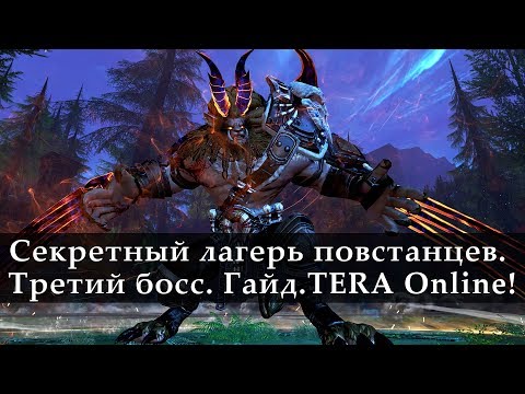 Видео: Секретный Лагерь Повстанцев. Гайд. Третий босс. TERA Online