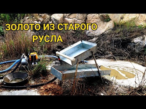 Видео: ЗОЛОТО ИЗ СТАРОГО РУСЛА