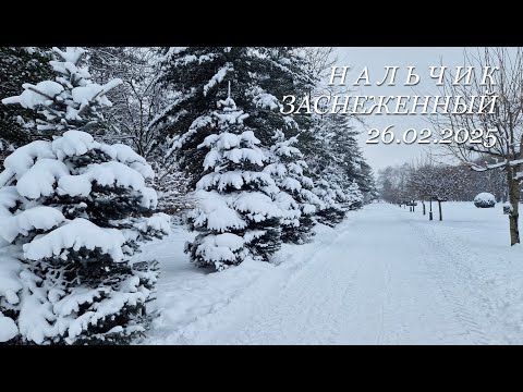 Видео: Нальчик заснеженный, 26.02.2025г.