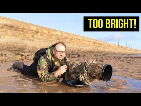 Видео: Как фотографировать околоводных птиц на пляже и как справляться с ярким солнцем!