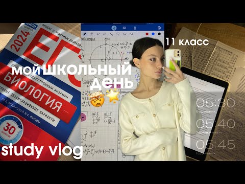 Видео: мой ШКОЛЬНЫЙ ДЕНЬ в 5 УТРА | STUDY VLOG | готовлюсь к ЕГЭ в 11 КЛАССЕ