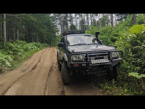 Видео: Грязевой вулкан, село Ключи, Сахалинская область. 21.07.2024*