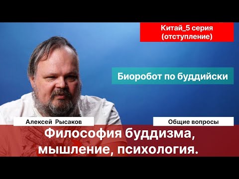 Видео: 5. Рысаков А.С.| Разговоры о мышлении, психологии, философии буддизма. Можно ли применить в жизни?