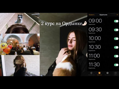 Видео: второй день в колледже